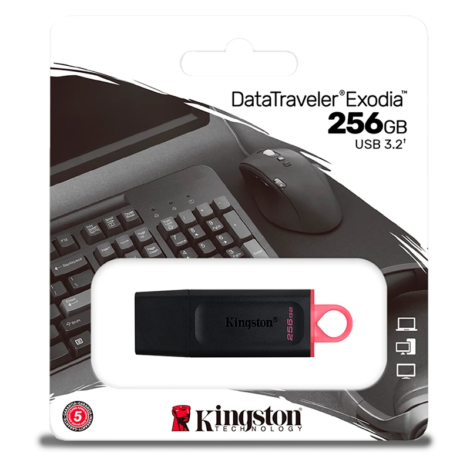 Product_20230424181021480272255.Exodia-256GB