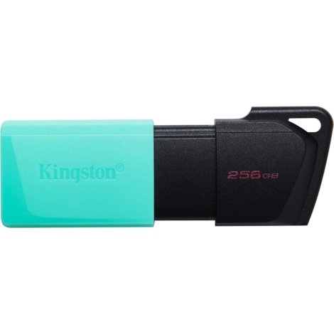 Memorias_USB-Kingston_USB_256GB-imagen_1